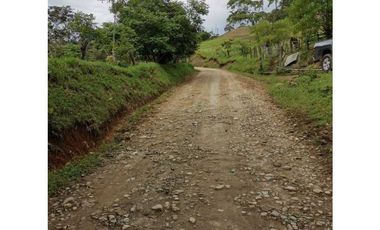 ideal para Proyecto de Parcelación - Finca en Venta - Cajibio