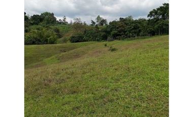 ideal para Proyecto de Parcelación - Finca en Venta - Cajibio