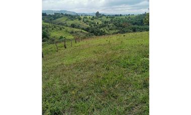 ideal para Proyecto de Parcelación - Finca en Venta - Cajibio