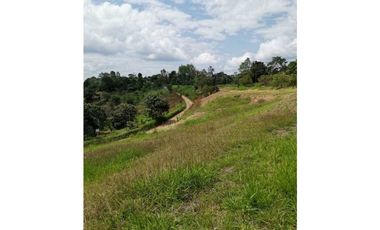 ideal para Proyecto de Parcelación - Finca en Venta - Cajibio