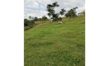 ideal para Proyecto de Parcelación - Finca en Venta - Cajibio