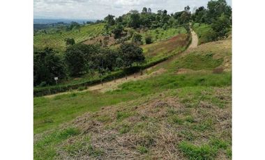 ideal para Proyecto de Parcelación - Finca en Venta - Cajibio