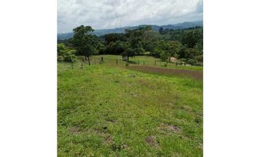 ideal para Proyecto de Parcelación - Finca en Venta - Cajibio