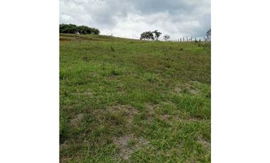 ideal para Proyecto de Parcelación - Finca en Venta - Cajibio