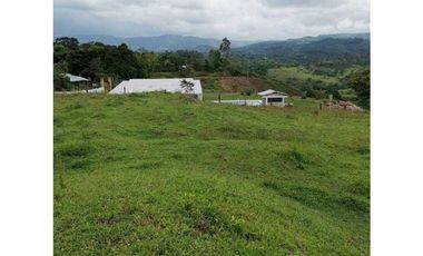 ideal para Proyecto de Parcelación - Finca en Venta - Cajibio