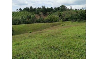 ideal para Proyecto de Parcelación - Finca en Venta - Cajibio