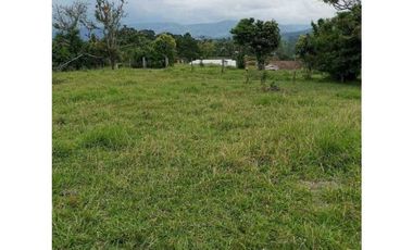 ideal para Proyecto de Parcelación - Finca en Venta - Cajibio