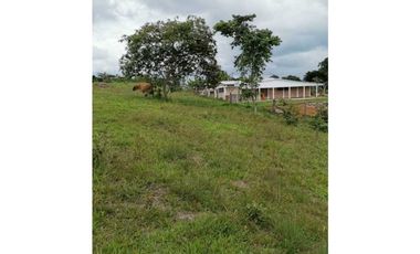 ideal para Proyecto de Parcelación - Finca en Venta - Cajibio