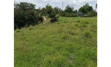 ideal para Proyecto de Parcelación - Finca en Venta - Cajibio