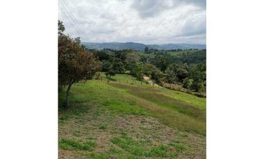 ideal para Proyecto de Parcelación - Finca en Venta - Cajibio