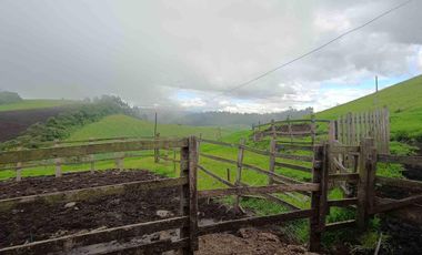 En venta Encantadora Finca en Zipacón, Cundinamarca
