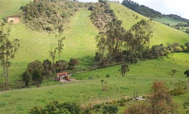 En venta Encantadora Finca en Zipacón, Cundinamarca