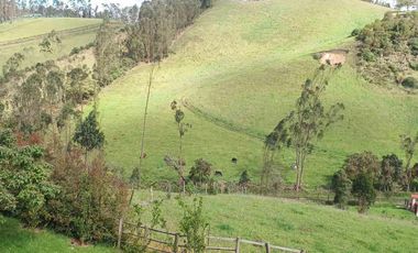 En venta Encantadora Finca en Zipacón, Cundinamarca