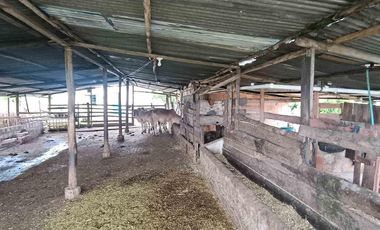 En venta Encantadora Finca en Zipacón, Cundinamarca
