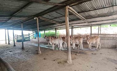 En venta Encantadora Finca en Zipacón, Cundinamarca