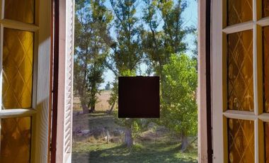 Casa en venta - 4 Dormitorios 3 Baños - Saladillo