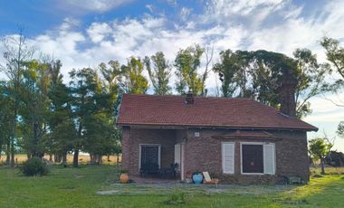 Casa en venta - 4 Dormitorios 3 Baños - Saladillo