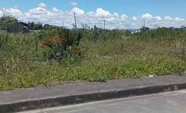 For Sale: 300 sqm Residential lot in Vista mar, Lapu-Lapu City