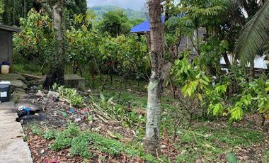 RUSH SALE  HOUSE AND LOT with CORN MILL LOT AREA  2777SQM in TAMBOBONG