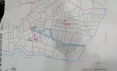 RUSH SALE  HOUSE AND LOT with CORN MILL LOT AREA  2777SQM in TAMBOBONG