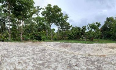 RUSH SALE  HOUSE AND LOT with CORN MILL LOT AREA  2777SQM in TAMBOBONG