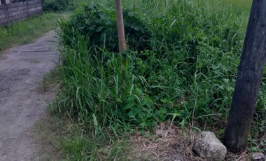 BALANGA PROPERTY, RESIDENTIAL LOT FOR SALE