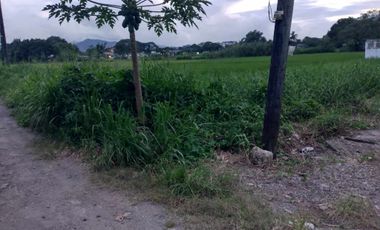 BALANGA PROPERTY, RESIDENTIAL LOT FOR SALE