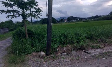 BALANGA PROPERTY, RESIDENTIAL LOT FOR SALE