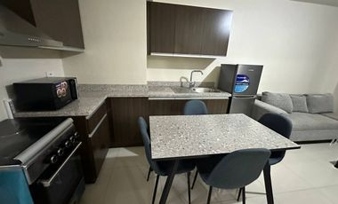 For Rent: Furnished 2BR Condo unit in Six Senses Residences Tower 5, Pasay City