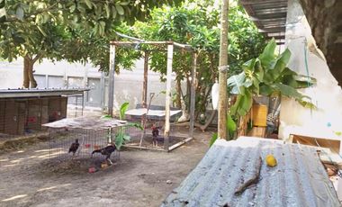 Residential Lot 1,000 sqm in San Nicolas Phase 1 Cutud Magalang, Pampanga