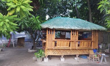 Residential Lot 1,000 sqm in San Nicolas Phase 1 Cutud Magalang, Pampanga