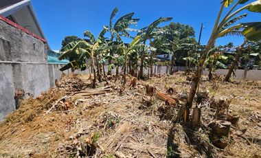 FOR SALE Prime Residential Vancant Lot in BF Homes Bayanihan Village Pque City