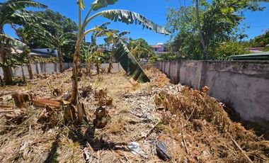 FOR SALE Prime Residential Vancant Lot in BF Homes Bayanihan Village Pque City