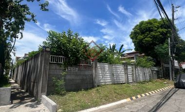 FOR SALE Prime Residential Vancant Lot in BF Homes Bayanihan Village Pque City