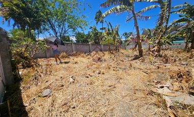 FOR SALE Prime Residential Vancant Lot in BF Homes Bayanihan Village Pque City