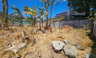 FOR SALE Prime Residential Vancant Lot in BF Homes Bayanihan Village Pque City