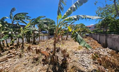 FOR SALE Prime Residential Vancant Lot in BF Homes Bayanihan Village Pque City