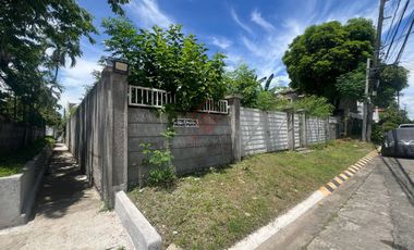 FOR SALE Prime Residential Vancant Lot in BF Homes Bayanihan Village Pque City