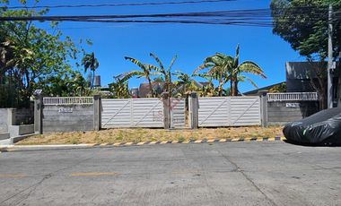 FOR SALE Prime Residential Vancant Lot in BF Homes Bayanihan Village Pque City