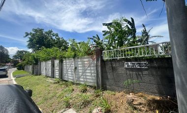FOR SALE Prime Residential Vancant Lot in BF Homes Bayanihan Village Pque City