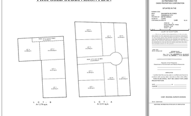 Residential Lot For Sale at United Parañaque Subdivision 2