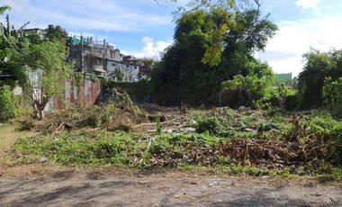 Residential Lot For Sale at United Parañaque Subdivision 2