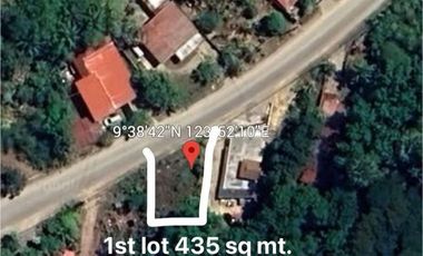 COMMERCIAL OR RESIDENTIAL LOT FOR SALE @ DAMPAS TAGBILARAN CITY BOHOL