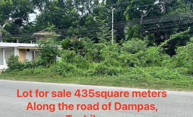 COMMERCIAL OR RESIDENTIAL LOT FOR SALE @ DAMPAS TAGBILARAN CITY BOHOL
