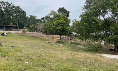 For Sale: Ocean View Lot in Dauin, Negros Oriental ID 14985