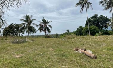 For Sale: Ocean View Lot in Dauin, Negros Oriental ID 14985
