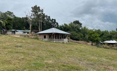 For Sale: Ocean View Lot in Dauin, Negros Oriental ID 14985