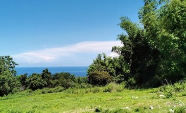 For Sale: Ocean View Lot in Dauin, Negros Oriental ID 14985