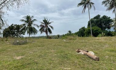 For Sale: Ocean View Lot in Dauin, Negros Oriental ID 14985