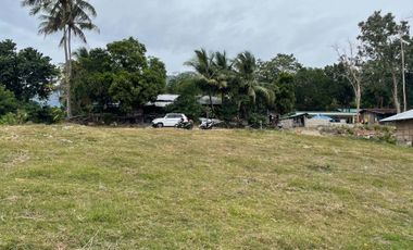 For Sale: Ocean View Lot in Dauin, Negros Oriental ID 14985
